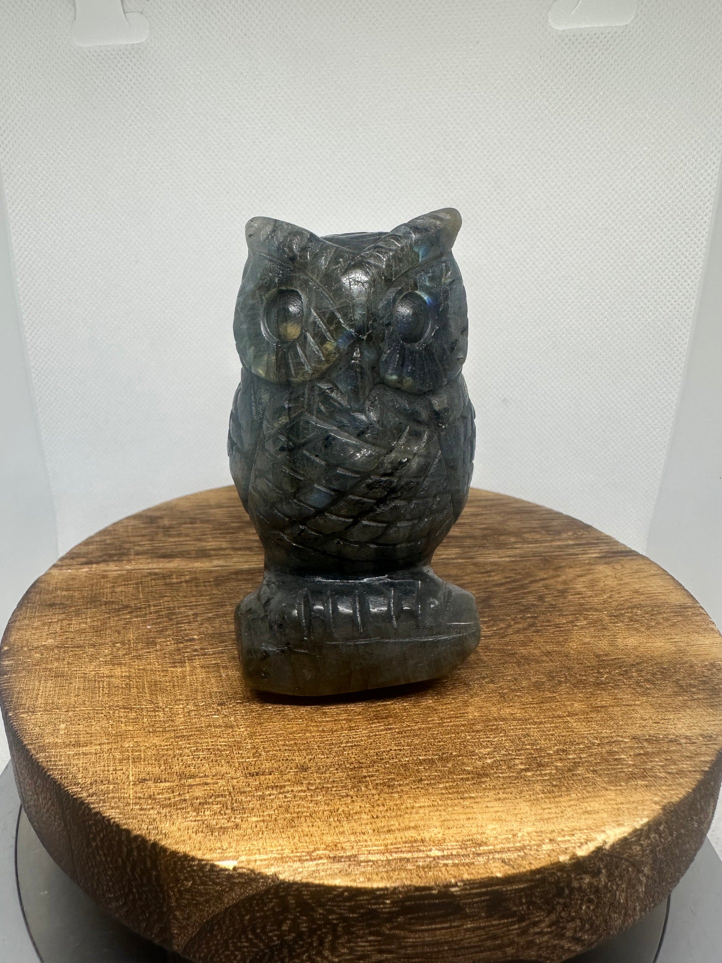 Labradorite owl
