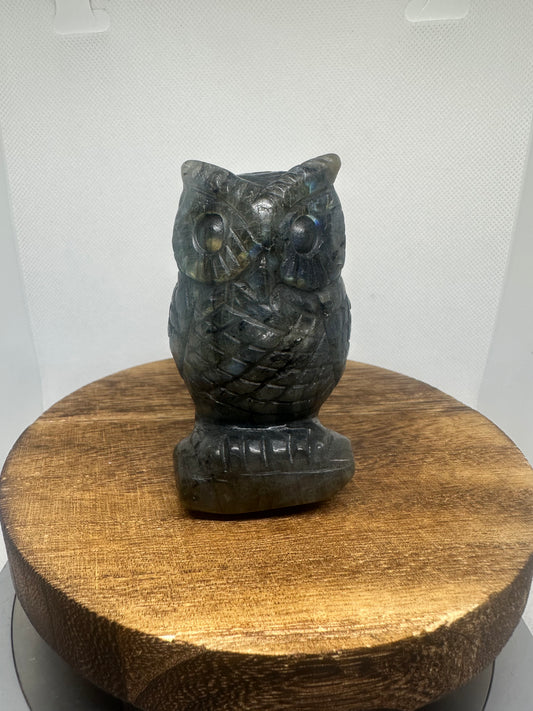 Labradorite owl