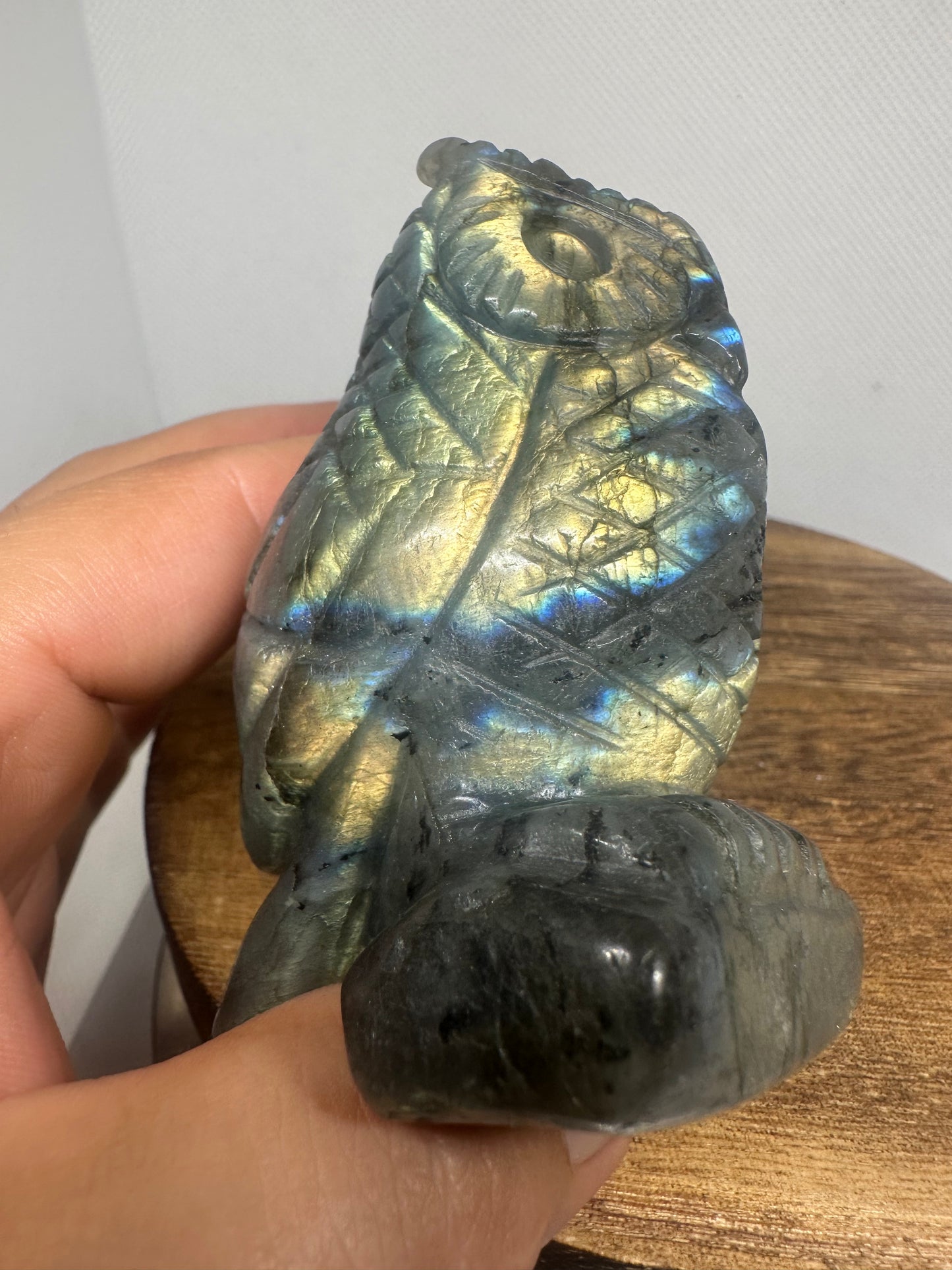 Labradorite owl