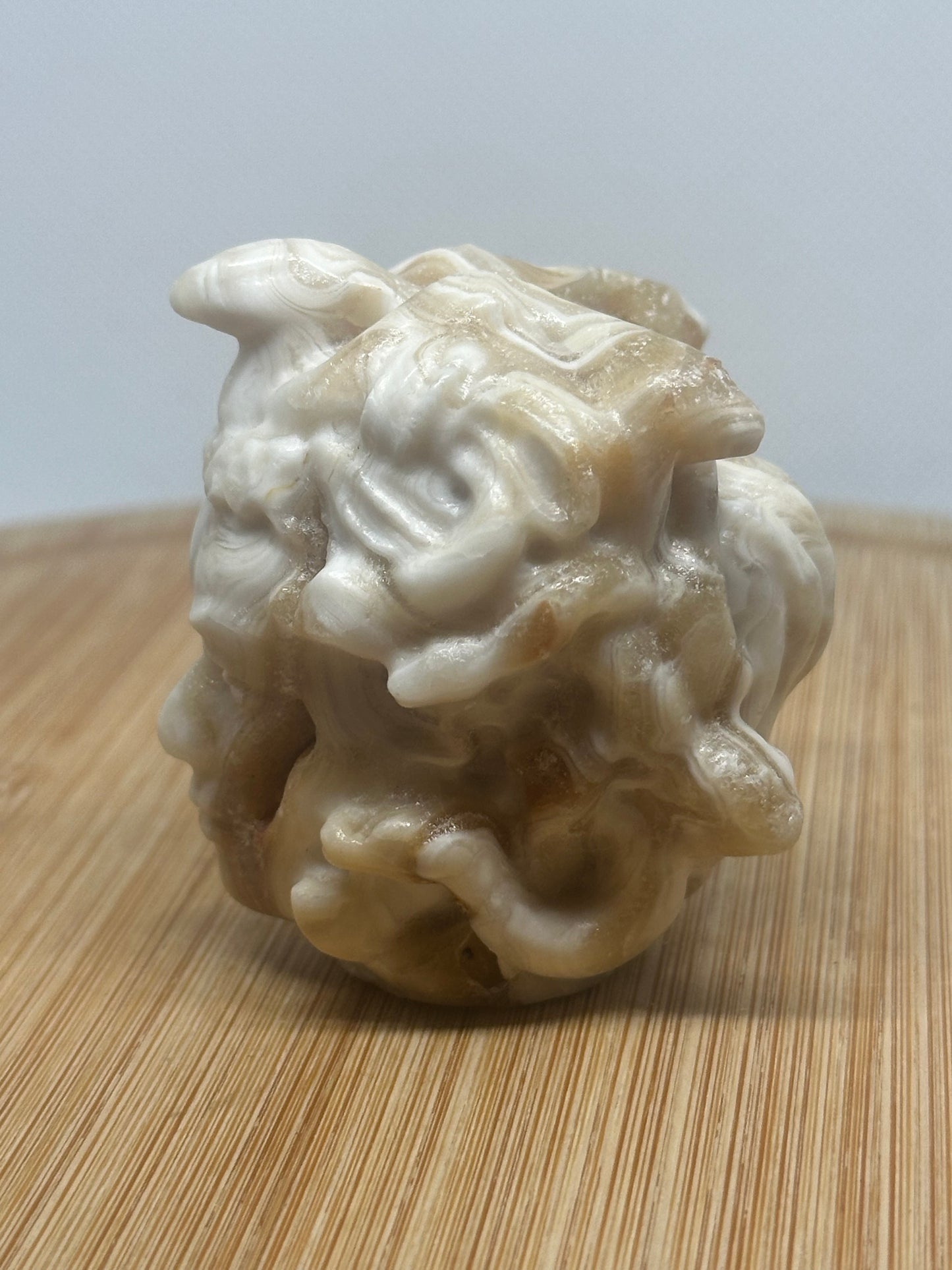 Chocolate calcite medusa