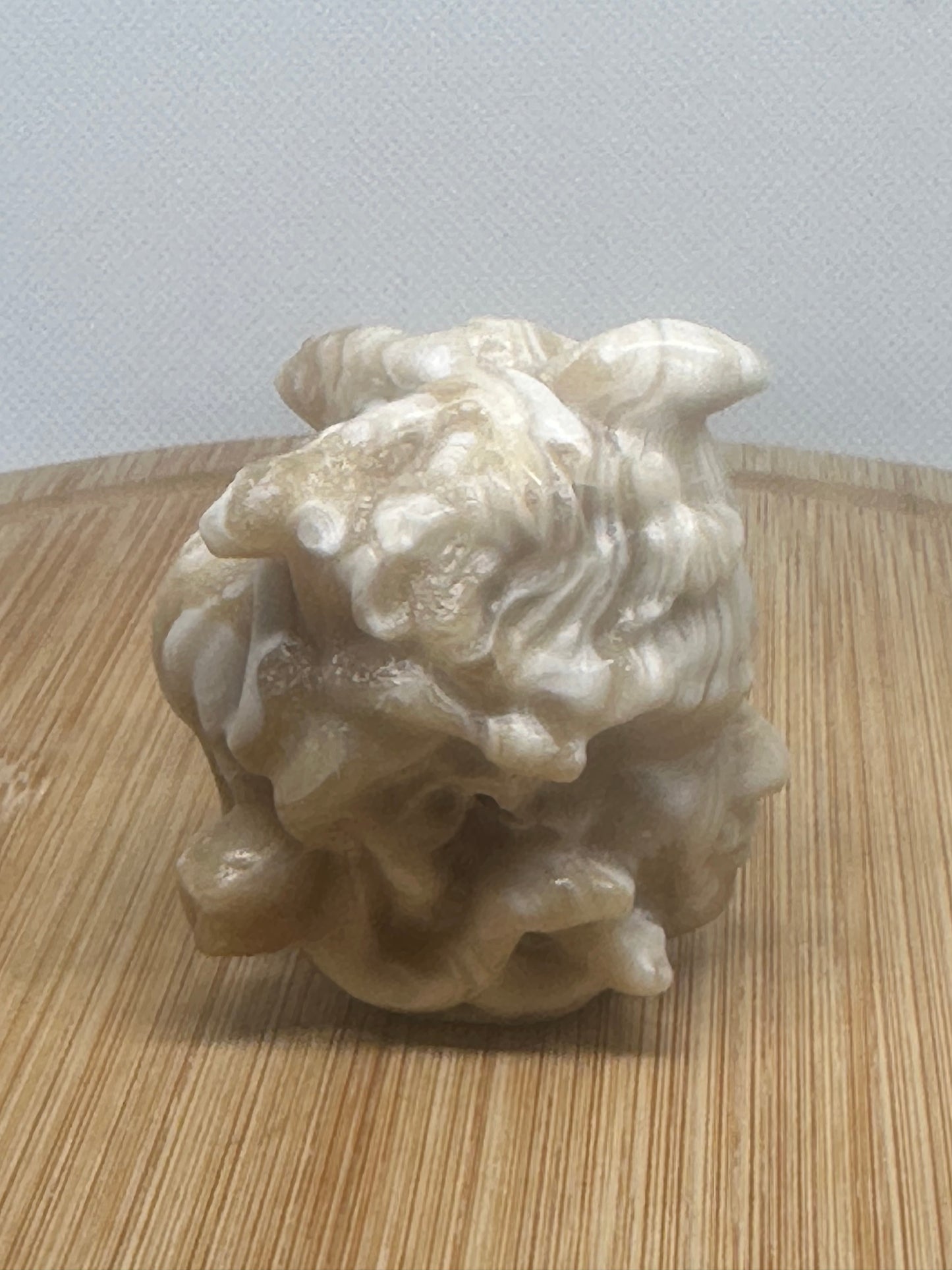 Chocolate calcite medusa