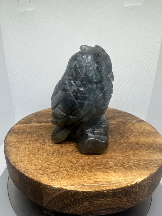 Labradorite owl