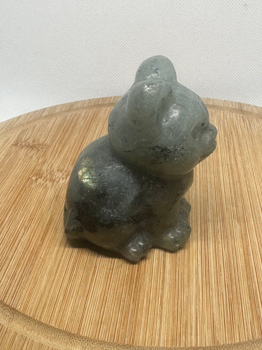 Labradorite cat