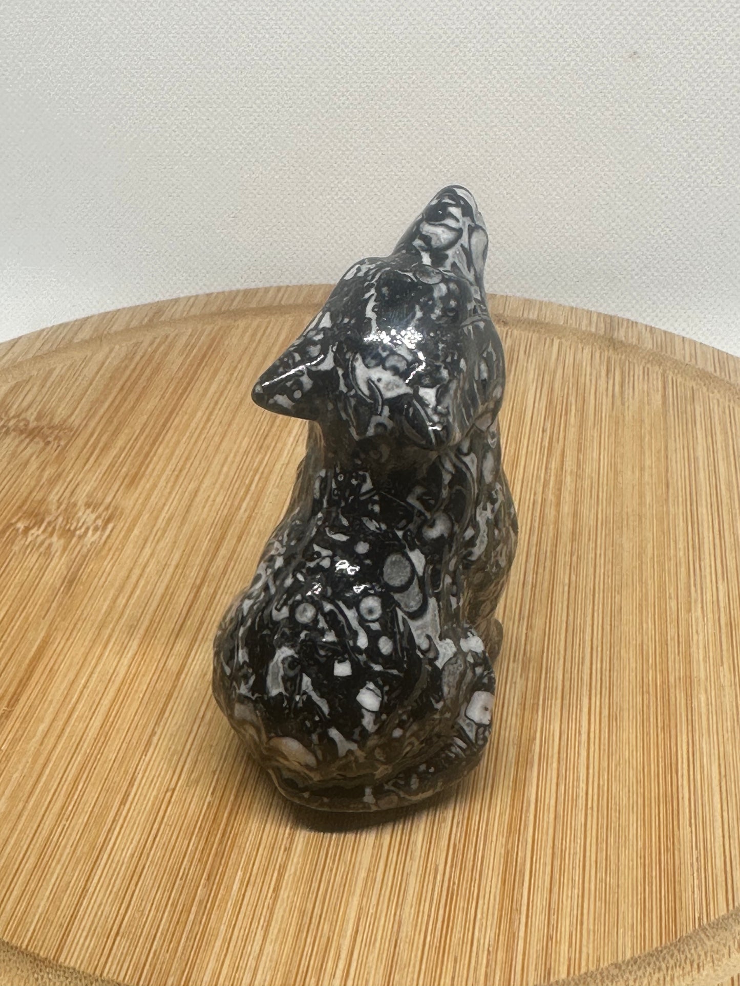 Zebra jasping howling wolf