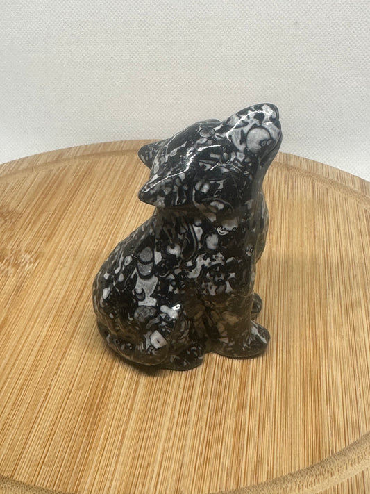 Zebra jasping howling wolf