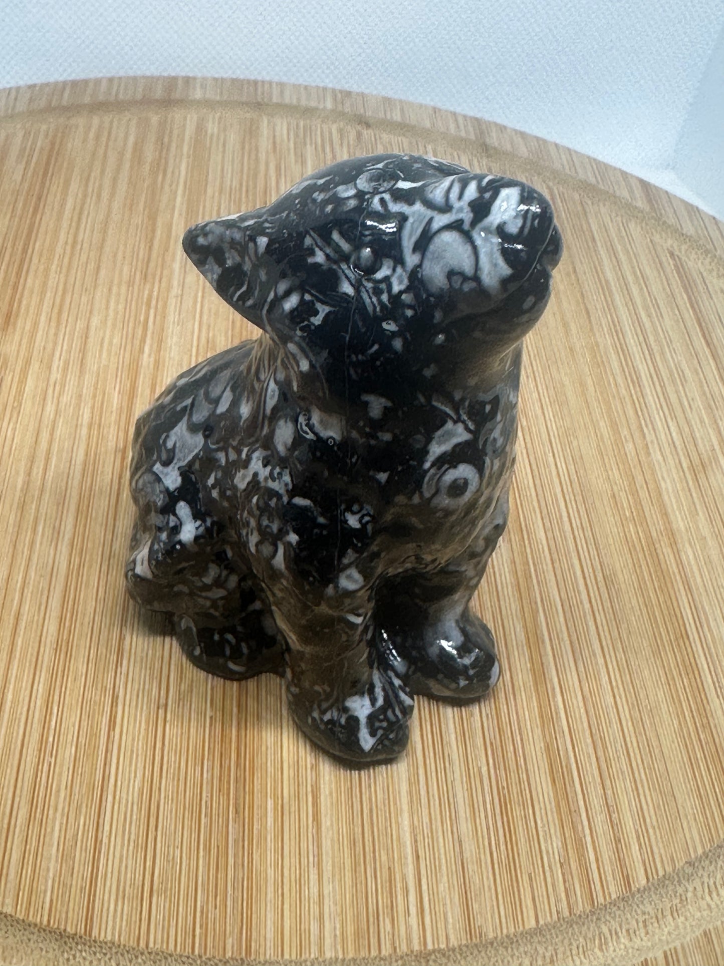 Zebra jasping howling wolf