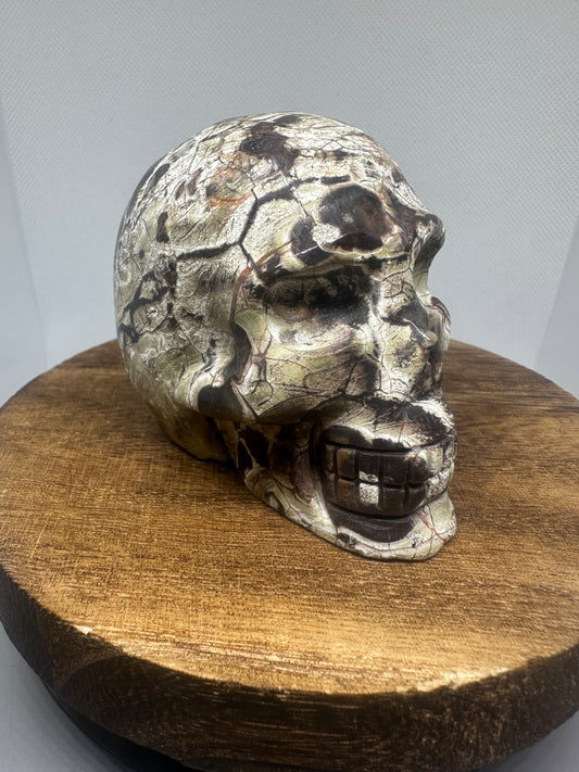 Money Agate skull