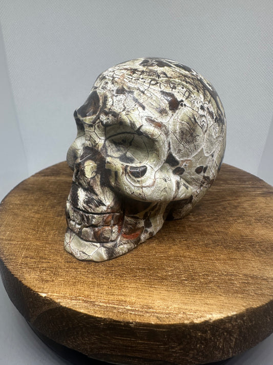 Money Agate skull