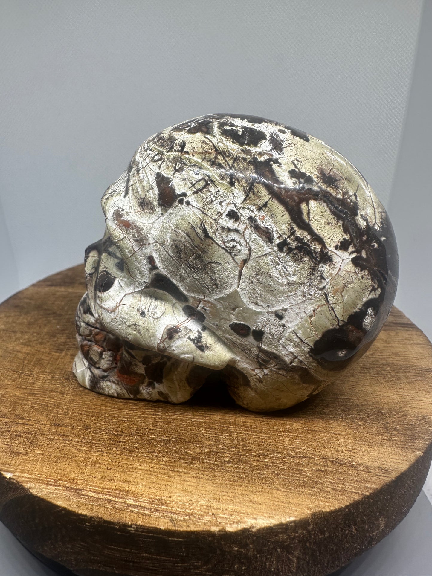 Money Agate skull