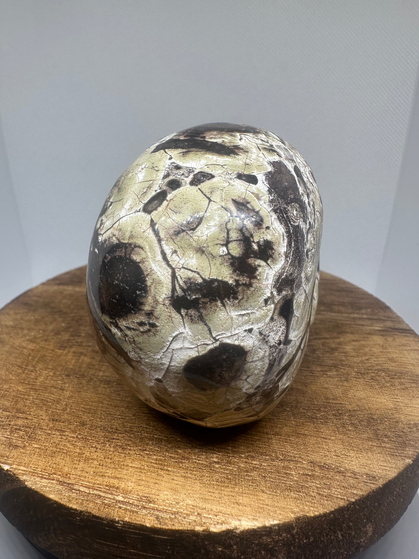 Money Agate skull