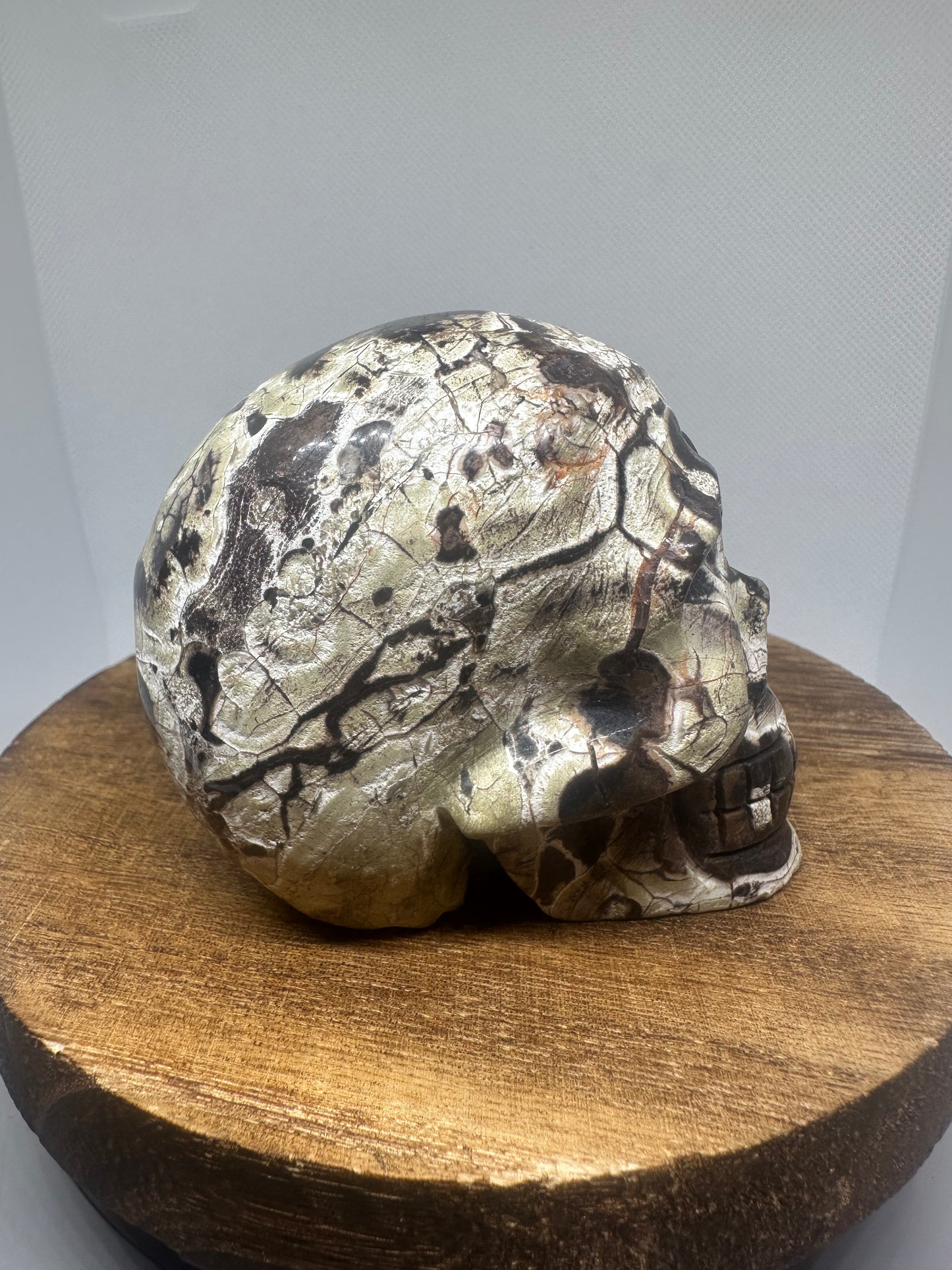 Money Agate skull