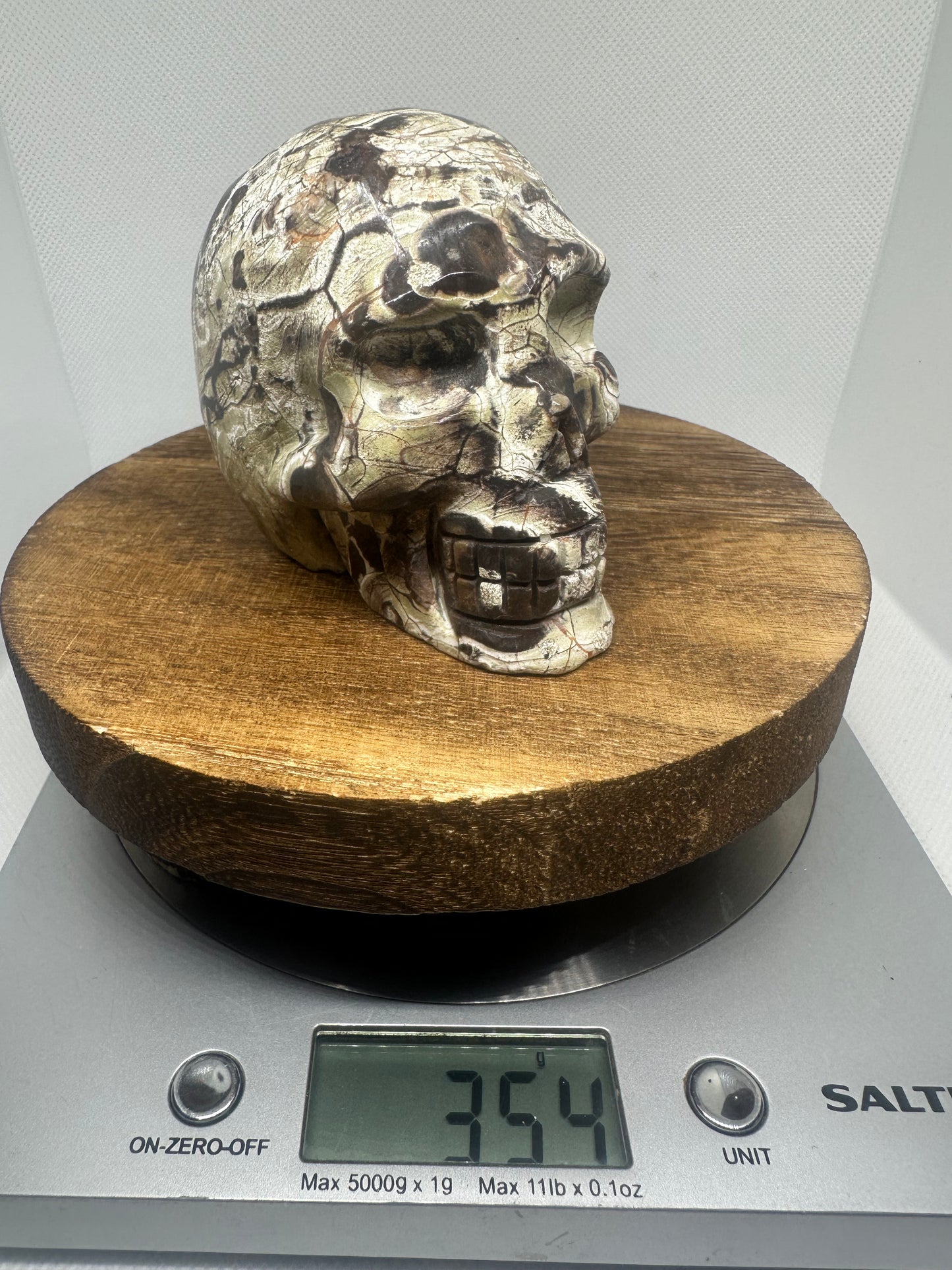Money Agate skull