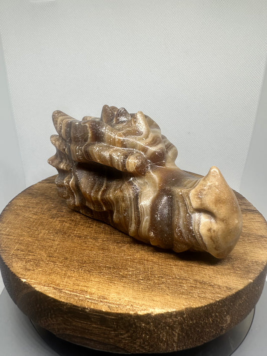 Chocolate calcite dragon head