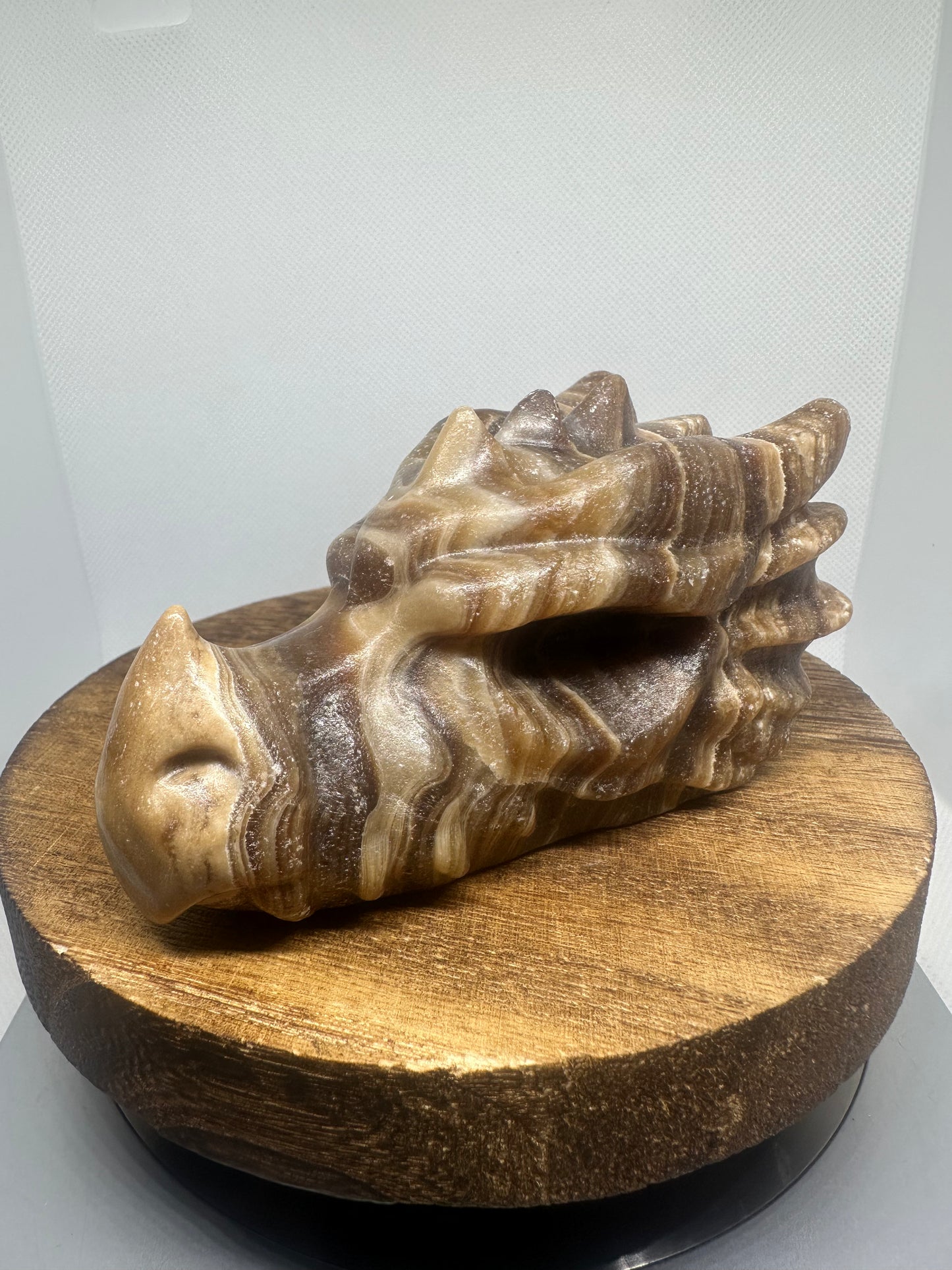 Chocolate calcite dragon head