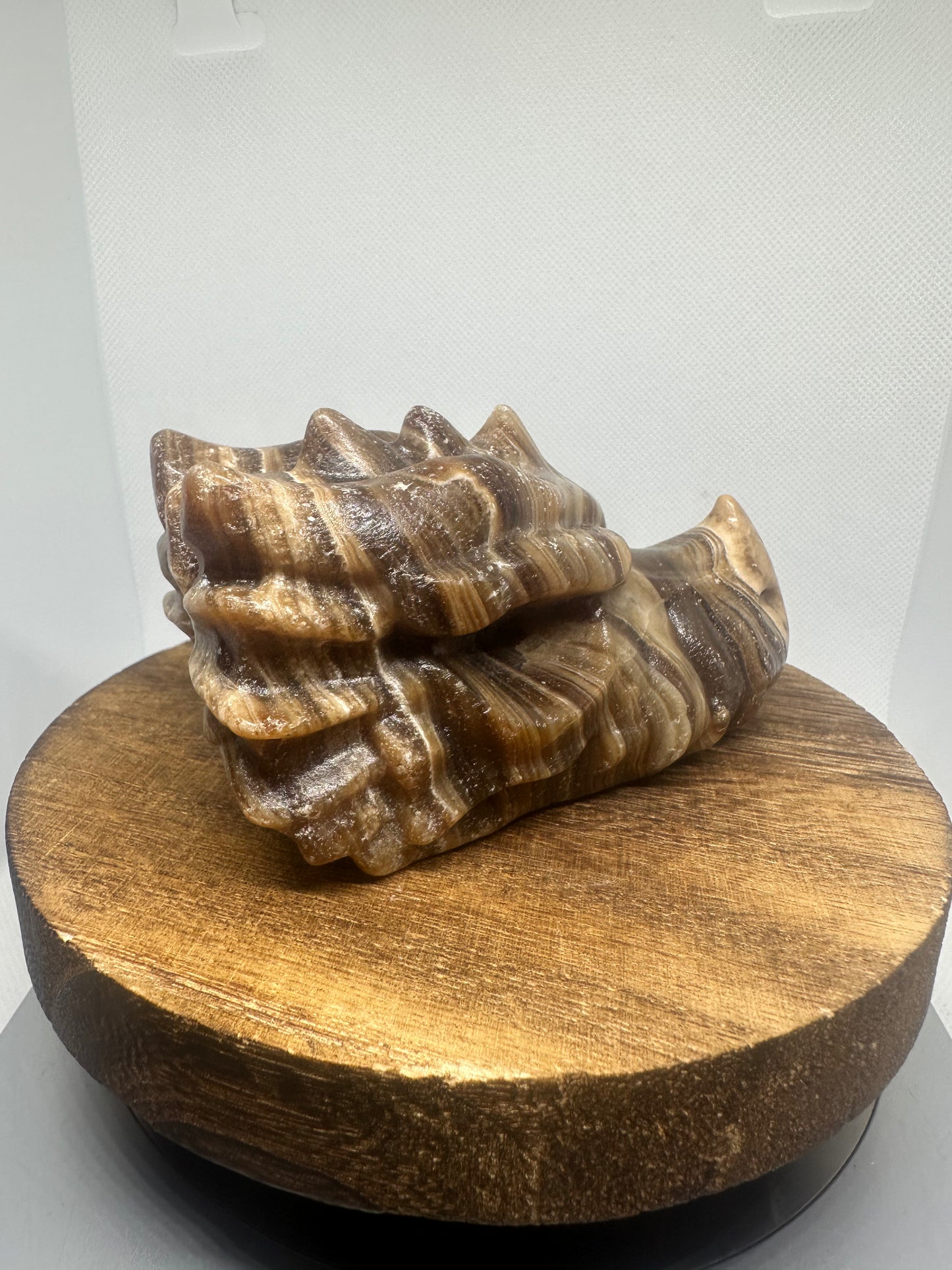 Chocolate calcite dragon head