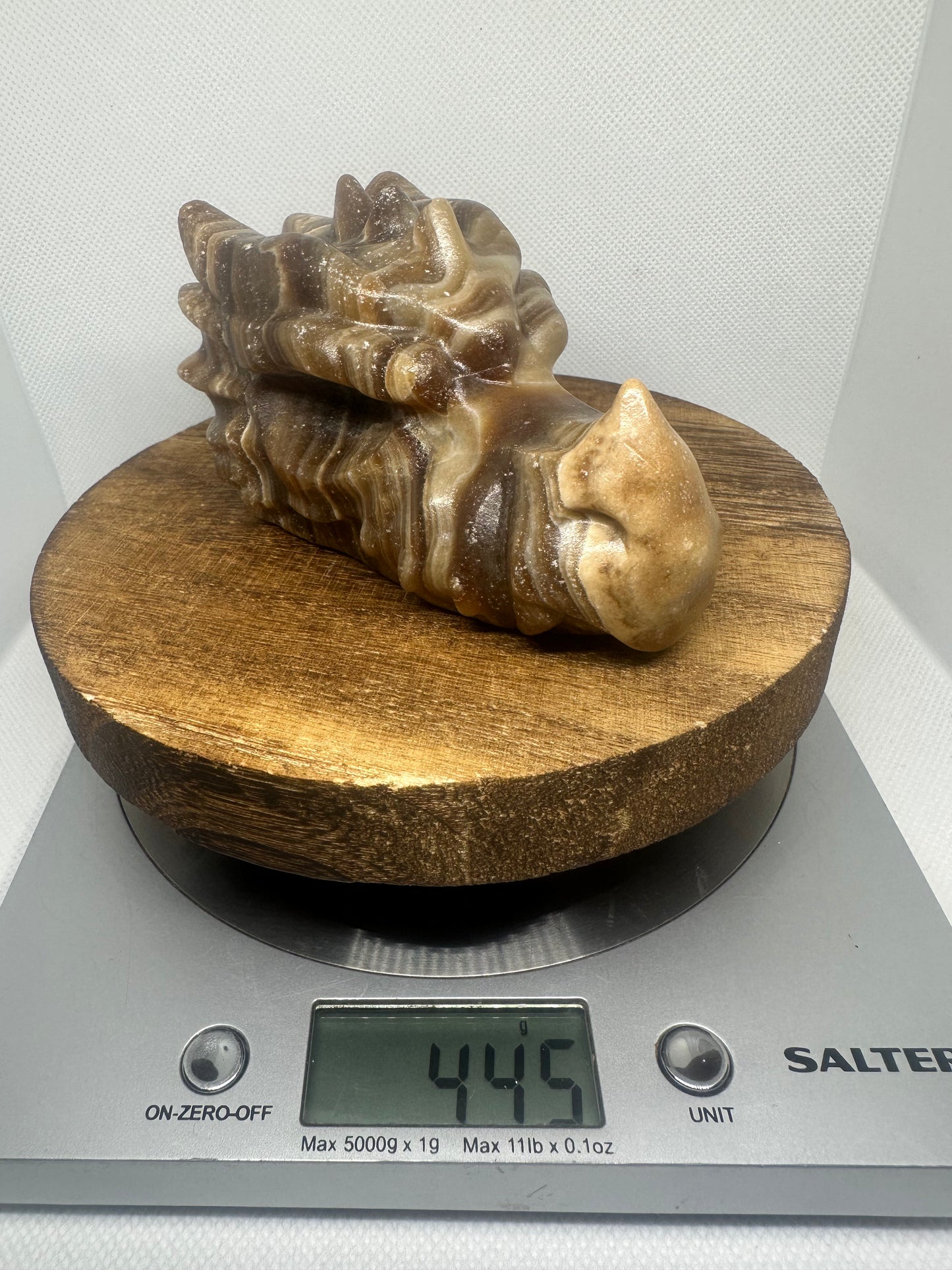 Chocolate calcite dragon head
