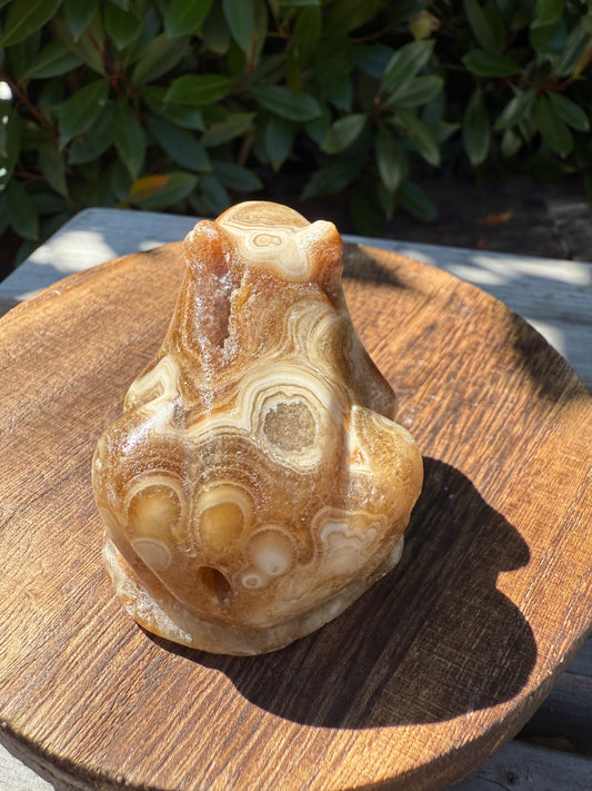 Chocolate calcite frog