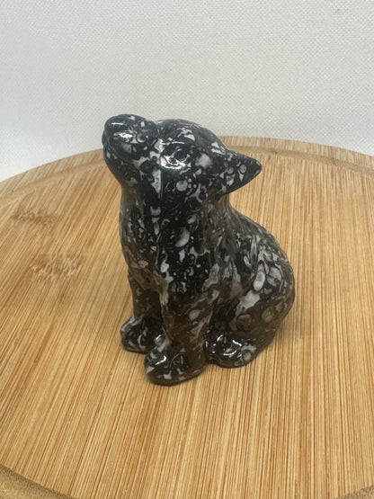 Zebra jasping howling wolf