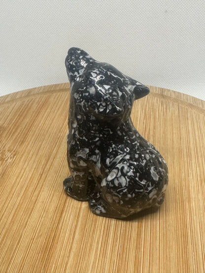 Zebra jasping howling wolf