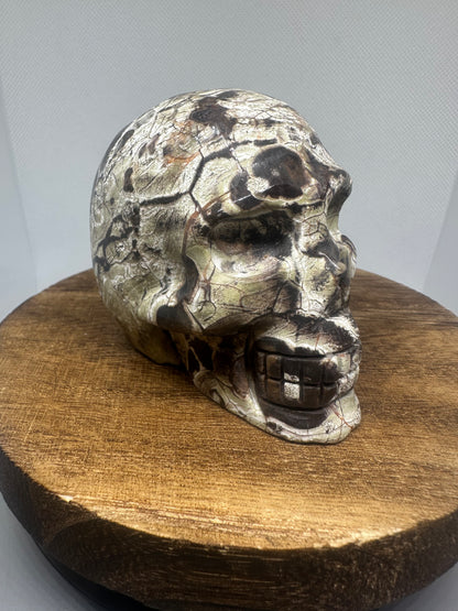 Money Agate skull
