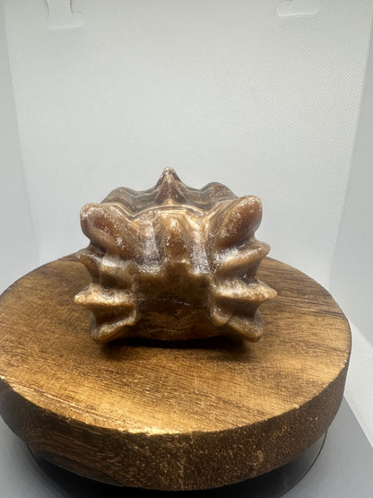 Chocolate calcite dragon head